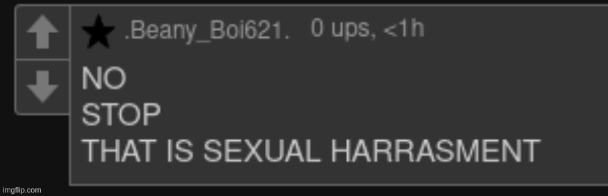 NO STOP THAT IS SEXUAL HARRASMENT | image tagged in no stop that is sexual harrasment | made w/ Imgflip meme maker