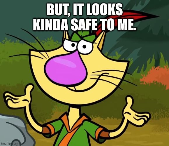Confused Nature Cat 2 | BUT, IT LOOKS KINDA SAFE TO ME. | image tagged in confused nature cat 2 | made w/ Imgflip meme maker
