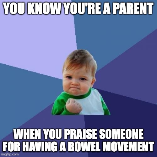 Parenting success | YOU KNOW YOU'RE A PARENT; WHEN YOU PRAISE SOMEONE FOR HAVING A BOWEL MOVEMENT | image tagged in memes,success kid | made w/ Imgflip meme maker