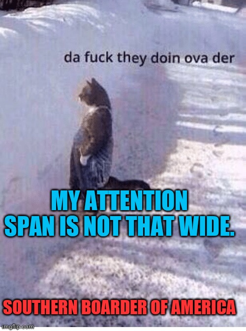 Da fuq they doing over there | SOUTHERN BOARDER OF AMERICA MY ATTENTION SPAN IS NOT THAT WIDE. | image tagged in da fuq they doing over there | made w/ Imgflip meme maker