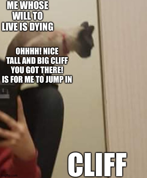 Nice cliff you got there! Can I have it? |  ME WHOSE WILL TO LIVE IS DYING; OHHHH! NICE TALL AND BIG CLIFF YOU GOT THERE! IS FOR ME TO JUMP IN; CLIFF | image tagged in is for me,custom template,memes | made w/ Imgflip meme maker