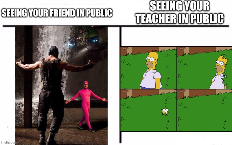 lol i funny | SEEING YOUR FRIEND IN PUBLIC; SEEING YOUR TEACHER IN PUBLIC | image tagged in memes,who would win,lol,funny | made w/ Imgflip meme maker