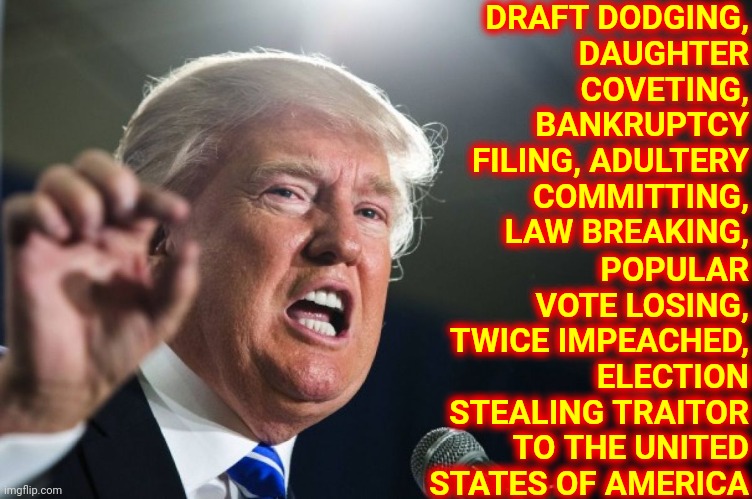 Just Nasty | DRAFT DODGING,
DAUGHTER COVETING,
BANKRUPTCY FILING, ADULTERY COMMITTING, LAW BREAKING, POPULAR VOTE LOSING, TWICE IMPEACHED, ELECTION STEALING TRAITOR TO THE UNITED STATES OF AMERICA | image tagged in donald trump,memes,nasty,trumpublican terrorist,sore loser,lock him up | made w/ Imgflip meme maker