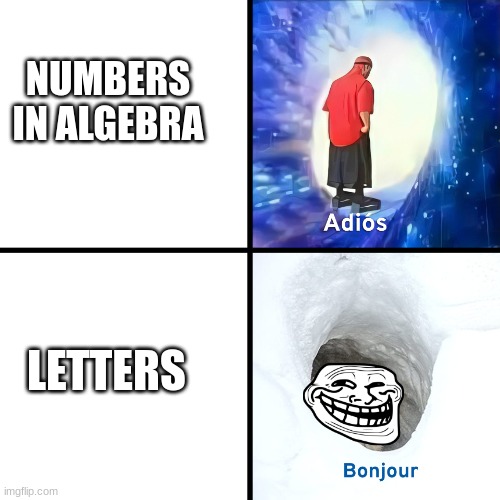 This is true. Isn´t it? | NUMBERS IN ALGEBRA; LETTERS | image tagged in fun | made w/ Imgflip meme maker