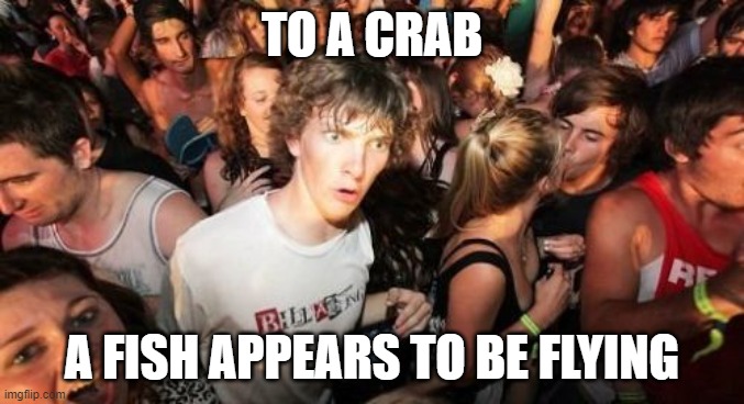 Sudden Clarity Clarence Meme | TO A CRAB A FISH APPEARS TO BE FLYING | image tagged in memes,sudden clarity clarence | made w/ Imgflip meme maker