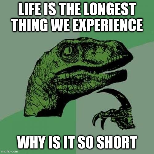 why | LIFE IS THE LONGEST THING WE EXPERIENCE; WHY IS IT SO SHORT | image tagged in memes,philosoraptor | made w/ Imgflip meme maker