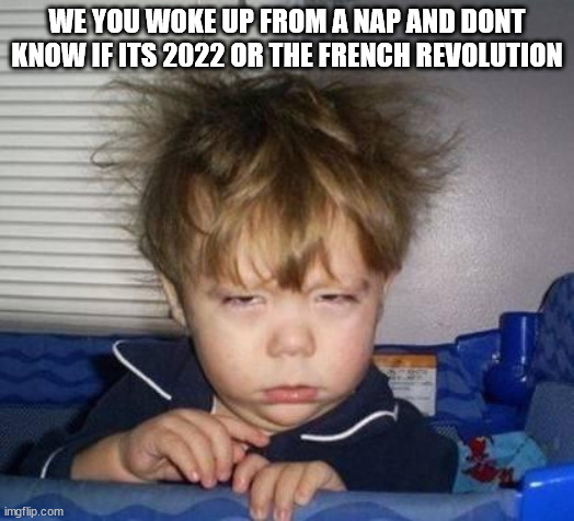 Wake up | WE YOU WOKE UP FROM A NAP AND DONT KNOW IF ITS 2022 OR THE FRENCH REVOLUTION | image tagged in wake up | made w/ Imgflip meme maker