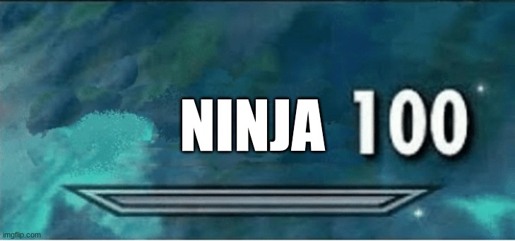 Skyrim 100 Blank | NINJA | image tagged in skyrim 100 blank | made w/ Imgflip meme maker