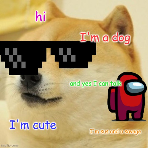 Doge Meme - Imgflip