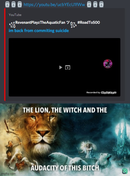 My guy found a totem of undying in real life | image tagged in the lion the witch and the audacity of this bitch | made w/ Imgflip meme maker