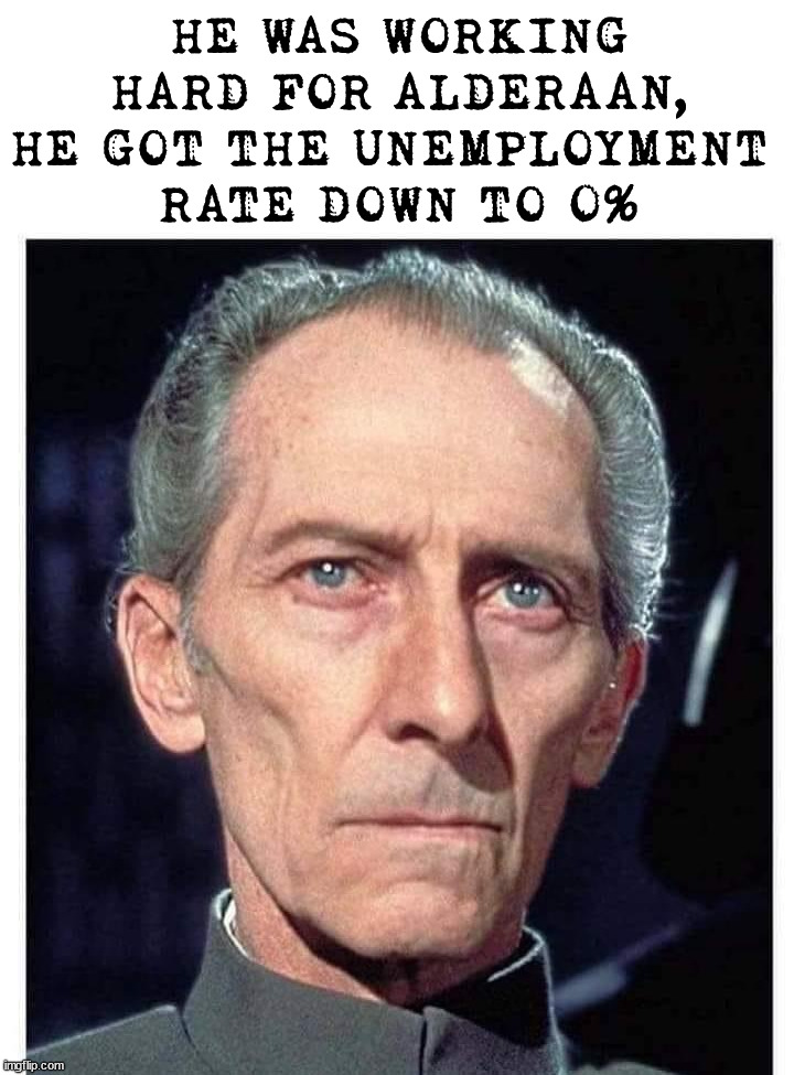 Well he did take a shortcut | HE WAS WORKING HARD FOR ALDERAAN, HE GOT THE UNEMPLOYMENT 
RATE DOWN TO 0% | image tagged in starwars,alderaan | made w/ Imgflip meme maker