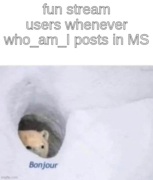 Bonjour | fun stream users whenever who_am_I posts in MS | image tagged in bonjour | made w/ Imgflip meme maker