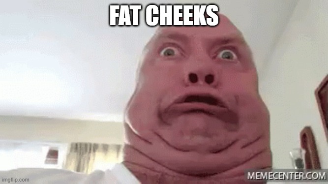 fat cheeks | FAT CHEEKS | image tagged in funny | made w/ Imgflip meme maker