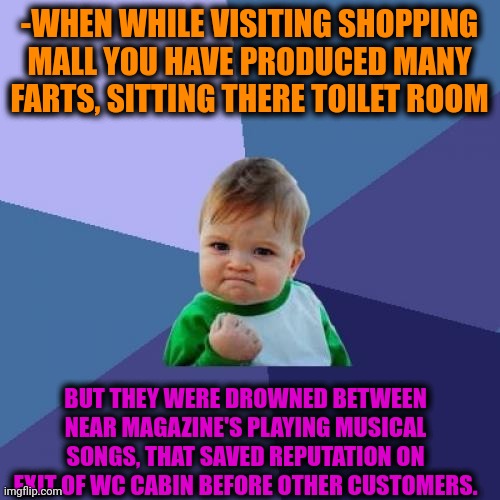 -Great savings. | -WHEN WHILE VISITING SHOPPING MALL YOU HAVE PRODUCED MANY FARTS, SITTING THERE TOILET ROOM; BUT THEY WERE DROWNED BETWEEN NEAR MAGAZINE'S PLAYING MUSICAL SONGS, THAT SAVED REPUTATION ON EXIT OF WC CABIN BEFORE OTHER CUSTOMERS. | image tagged in memes,success kid,holiday shopping,toilet humor,reputation,sound of music | made w/ Imgflip meme maker