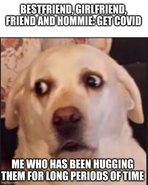 like how did i not get it bro? why | BESTFRIEND, GIRLFRIEND, FRIEND AND HOMMIE: GET COVID; ME WHO HAS BEEN HUGGING THEM FOR LONG PERIODS OF TIME | made w/ Imgflip meme maker