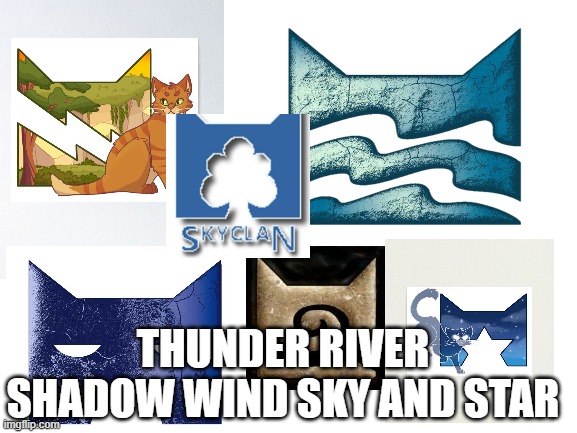 WARRIOR CLANS | THUNDER RIVER SHADOW WIND SKY AND STAR | image tagged in blank white template | made w/ Imgflip meme maker