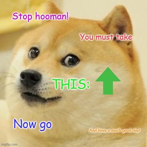 Doggo of wisdom and support. Stop scrolling and read! |  Stop hooman! You must take; THIS:; Now go; And have a much good day! | image tagged in memes,doge | made w/ Imgflip meme maker