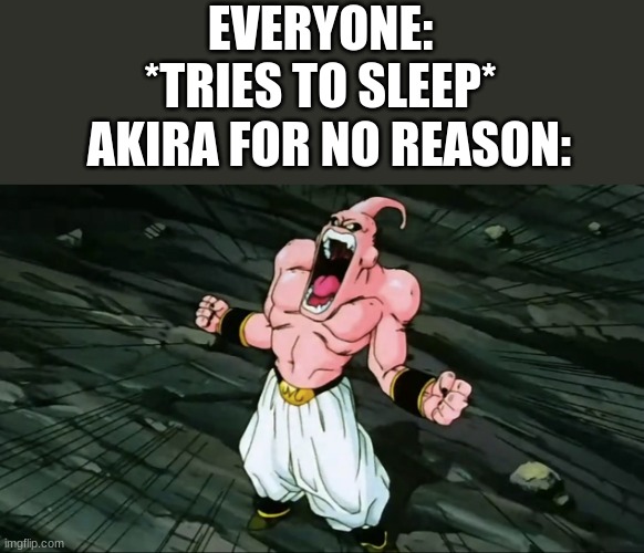 lol Akira lol | EVERYONE: *TRIES TO SLEEP*; AKIRA FOR NO REASON: | image tagged in super majin buu screaming | made w/ Imgflip meme maker