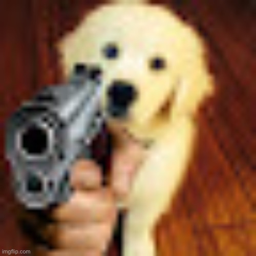 Dog gun | image tagged in dog gun | made w/ Imgflip meme maker