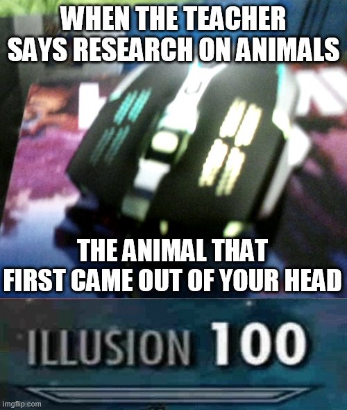 Mouse research | WHEN THE TEACHER SAYS RESEARCH ON ANIMALS; THE ANIMAL THAT FIRST CAME OUT OF YOUR HEAD | image tagged in school | made w/ Imgflip meme maker