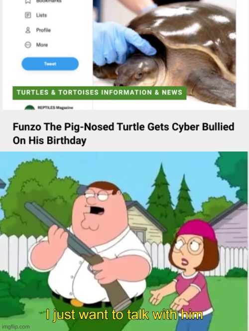 Don't bully turtles man | image tagged in i just want to talk with him | made w/ Imgflip meme maker