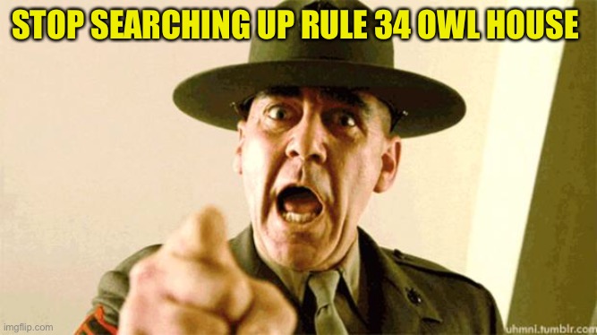YOU SIMP | STOP SEARCHING UP RULE 34 OWL HOUSE | image tagged in drill instructor | made w/ Imgflip meme maker