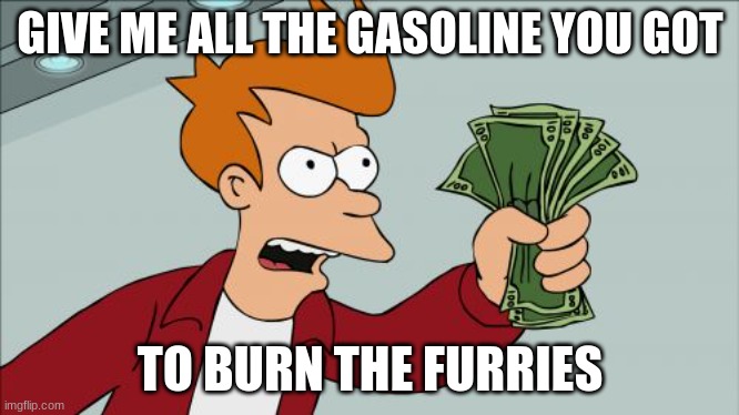 Shut Up And Take My Money Fry Meme | GIVE ME ALL THE GASOLINE YOU GOT; TO BURN THE FURRIES | image tagged in memes,shut up and take my money fry | made w/ Imgflip meme maker