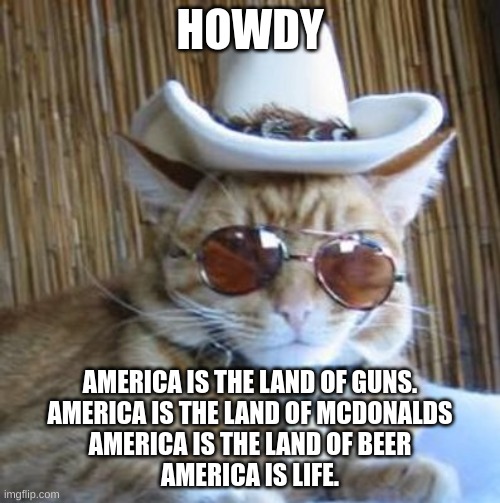 howdey | HOWDY; AMERICA IS THE LAND OF GUNS.
AMERICA IS THE LAND OF MCDONALDS
AMERICA IS THE LAND OF BEER
AMERICA IS LIFE. | image tagged in howdy,bruh,america | made w/ Imgflip meme maker