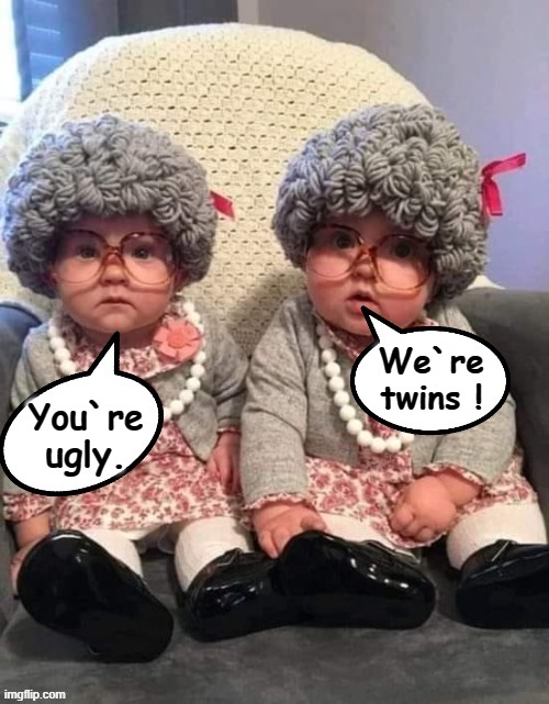 Sibling Rivalry | We`re
twins ! You`re
ugly. | image tagged in ugly twins | made w/ Imgflip meme maker