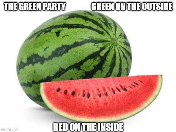 Green Party | THE GREEN PARTY                GREEN ON THE OUTSIDE; RED ON THE INSIDE | image tagged in green party,watermelon,marxism,communism,socialism | made w/ Imgflip meme maker