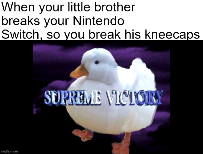 yes | When your little brother breaks your Nintendo Switch, so you break his kneecaps | image tagged in supreme victory duck | made w/ Imgflip meme maker