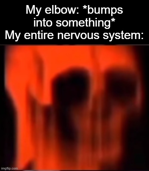 My elbow: *bumps into something*
My entire nervous system: | made w/ Imgflip meme maker