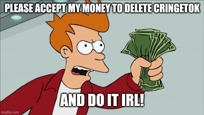 Tik tok is cringe. | PLEASE ACCEPT MY MONEY TO DELETE CRINGETOK; AND DO IT IRL! | image tagged in memes,shut up and take my money fry | made w/ Imgflip meme maker