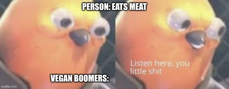 please do not the cat | PERSON: EATS MEAT; VEGAN BOOMERS: | image tagged in listen here you little shit bird | made w/ Imgflip meme maker