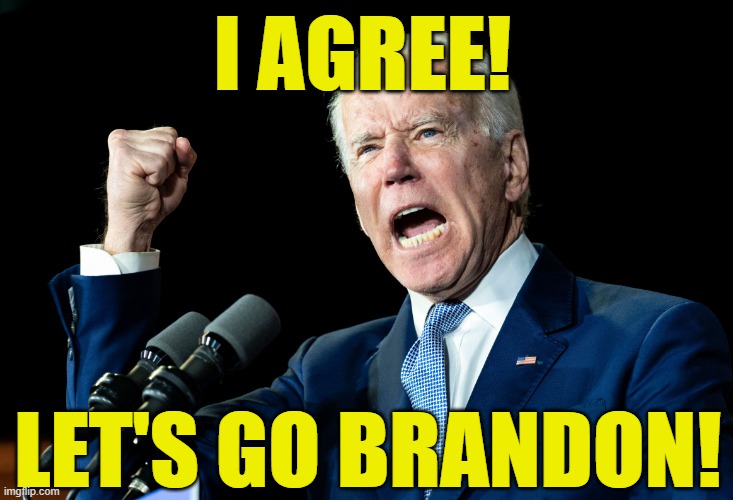 Joe Biden - Nap Times for EVERYONE! | I AGREE! LET'S GO BRANDON! | image tagged in joe biden - nap times for everyone | made w/ Imgflip meme maker