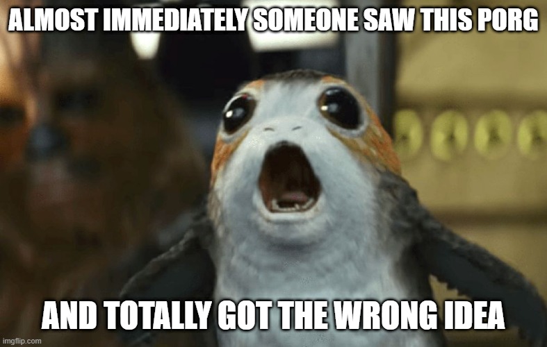 No, No You Don't | ALMOST IMMEDIATELY SOMEONE SAW THIS PORG; AND TOTALLY GOT THE WRONG IDEA | image tagged in porg star wars | made w/ Imgflip meme maker