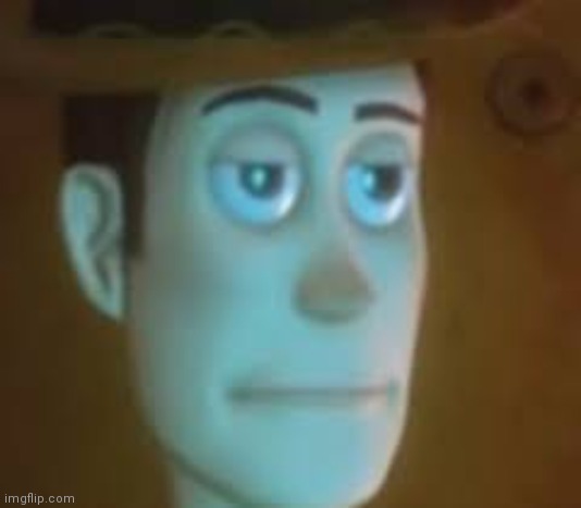 disappointed woody | image tagged in disappointed woody | made w/ Imgflip meme maker