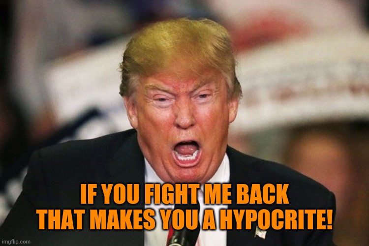 Trump Screaming | IF YOU FIGHT ME BACK THAT MAKES YOU A HYPOCRITE! | image tagged in trump screaming | made w/ Imgflip meme maker