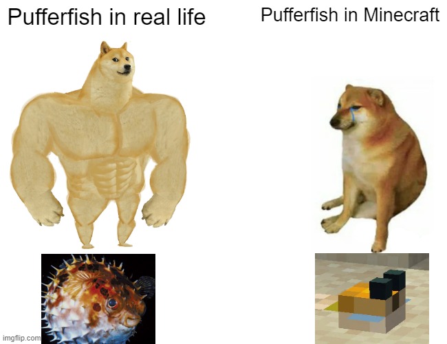 Real life vs Minecraft Pufferfish | Pufferfish in real life; Pufferfish in Minecraft | image tagged in memes,buff doge vs cheems | made w/ Imgflip meme maker