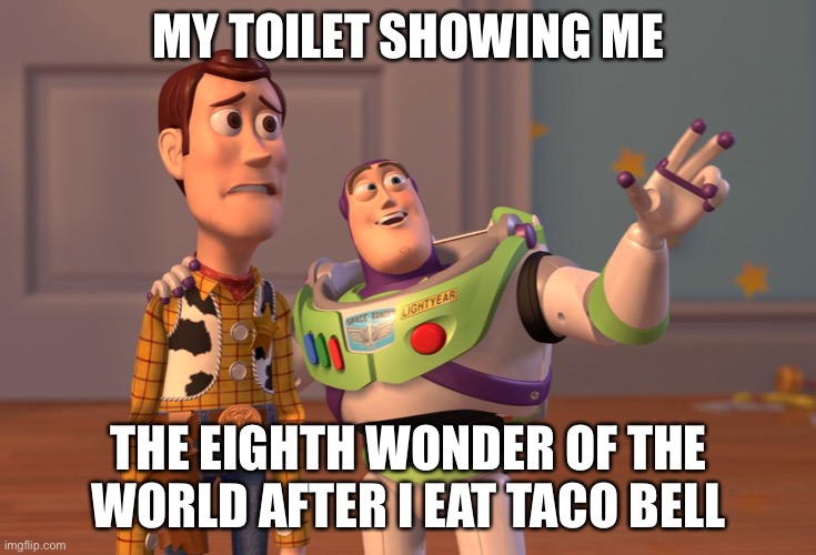 X, X Everywhere Meme | MY TOILET SHOWING ME; THE EIGHTH WONDER OF THE WORLD AFTER I EAT TACO BELL | image tagged in memes,x x everywhere | made w/ Imgflip meme maker