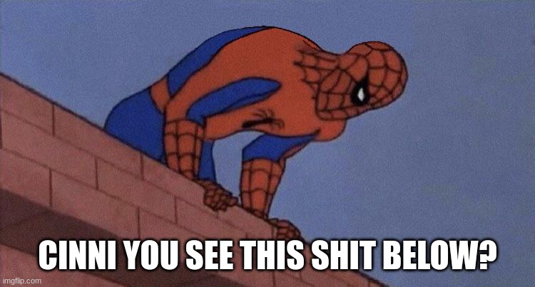 do you see this shit blank | CINNI YOU SEE THIS SHIT BELOW? | image tagged in do you see this shit blank | made w/ Imgflip meme maker