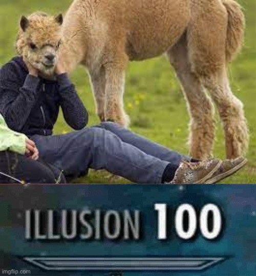 The alpaca got in the way of the photo brilliantly | image tagged in illusion 100 | made w/ Imgflip meme maker