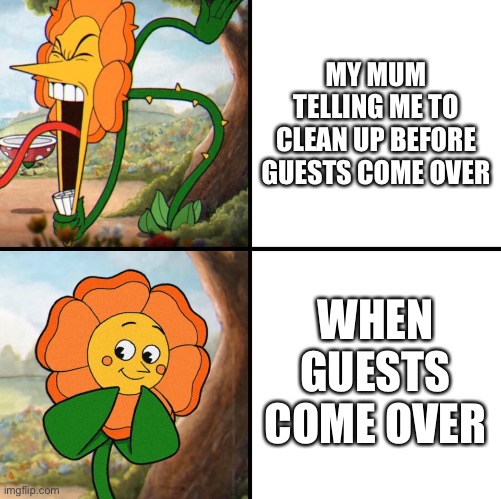 angry flower | MY MUM TELLING ME TO CLEAN UP BEFORE GUESTS COME OVER; WHEN GUESTS COME OVER | image tagged in angry flower | made w/ Imgflip meme maker
