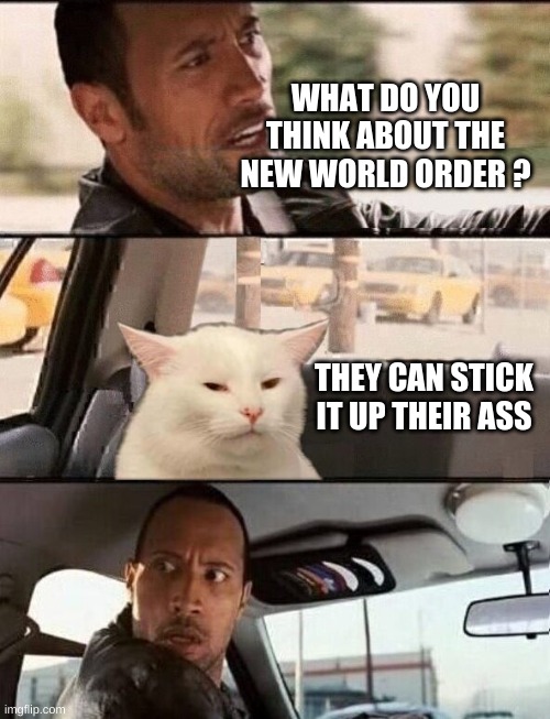  WHAT DO YOU THINK ABOUT THE NEW WORLD ORDER ? THEY CAN STICK IT UP THEIR ASS | image tagged in the rock driving,smudge the cat,new world order,nwo,kiss my ass,dystopia | made w/ Imgflip meme maker