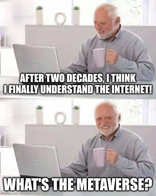 metaverse | AFTER TWO DECADES, I THINK I FINALLY UNDERSTAND THE INTERNET! WHAT'S THE METAVERSE? | image tagged in memes,hide the pain harold | made w/ Imgflip meme maker