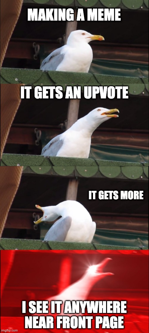 true | MAKING A MEME; IT GETS AN UPVOTE; IT GETS MORE; I SEE IT ANYWHERE NEAR FRONT PAGE | image tagged in memes,inhaling seagull,upvotes,fame,how to handle fame | made w/ Imgflip meme maker