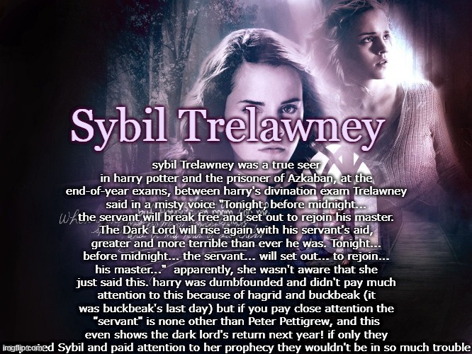 Hermione's Template | sybil Trelawney was a true seer
in harry potter and the prisoner of Azkaban, at the end-of-year exams, between harry's divination exam Trelawney said in a misty voice "Tonight, before midnight... the servant will break free and set out to rejoin his master. The Dark Lord will rise again with his servant's aid, greater and more terrible than ever he was. Tonight... before midnight... the servant... will set out... to rejoin... his master..."  apparently, she wasn't aware that she just said this. harry was dumbfounded and didn't pay much attention to this because of hagrid and buckbeak (it was buckbeak's last day) but if you pay close attention the "servant" is none other than Peter Pettigrew, and this even shows the dark lord's return next year! if only they respected Sybil and paid attention to her prophecy they wouldn't be in so much trouble; Sybil Trelawney | image tagged in hermione's template,harry potter | made w/ Imgflip meme maker