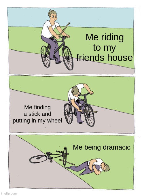 Bike Fall Meme | Me riding to my friends house; Me finding a stick and putting in my wheel; Me being dramacic | image tagged in memes,bike fall | made w/ Imgflip meme maker