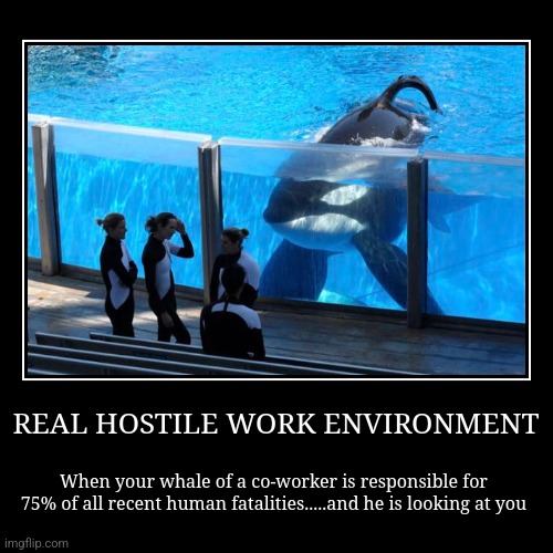 Think your job sucks? Think again! | image tagged in funny,demotivationals,killer whale,death,jobs | made w/ Imgflip demotivational maker
