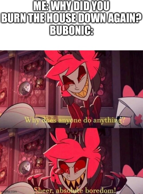 also new temp | ME: WHY DID YOU BURN THE HOUSE DOWN AGAIN?
BUBONIC: | image tagged in absolute boredom | made w/ Imgflip meme maker